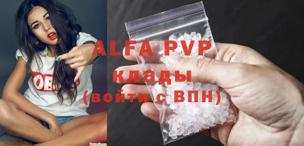 стаф Белокуриха