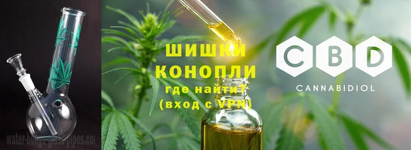 стаф Белокуриха