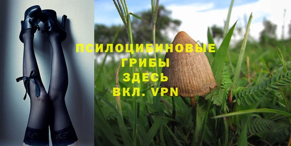 стаф Белокуриха