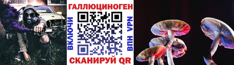 Псилоцибиновые грибы прущие грибы  Купить  Богданович 